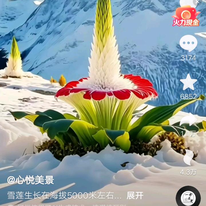 外蓝天白云