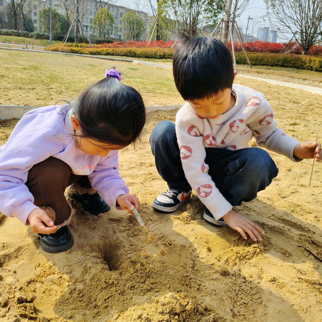 宸宸糯糯