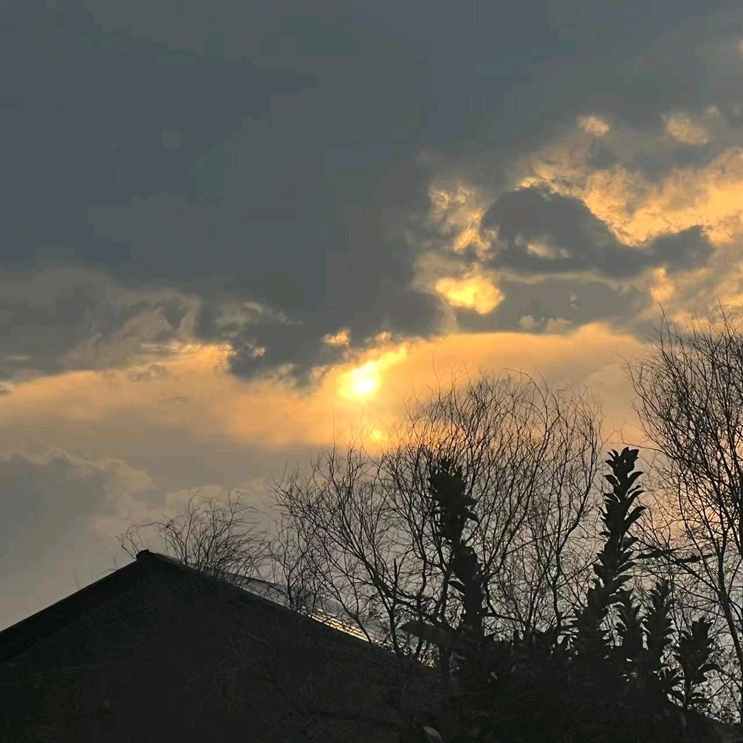 Ms.  Zhᰔᩚang੭ﾞ