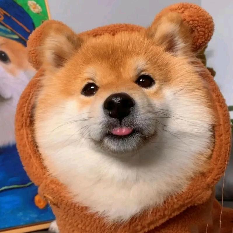 阿柴来咯