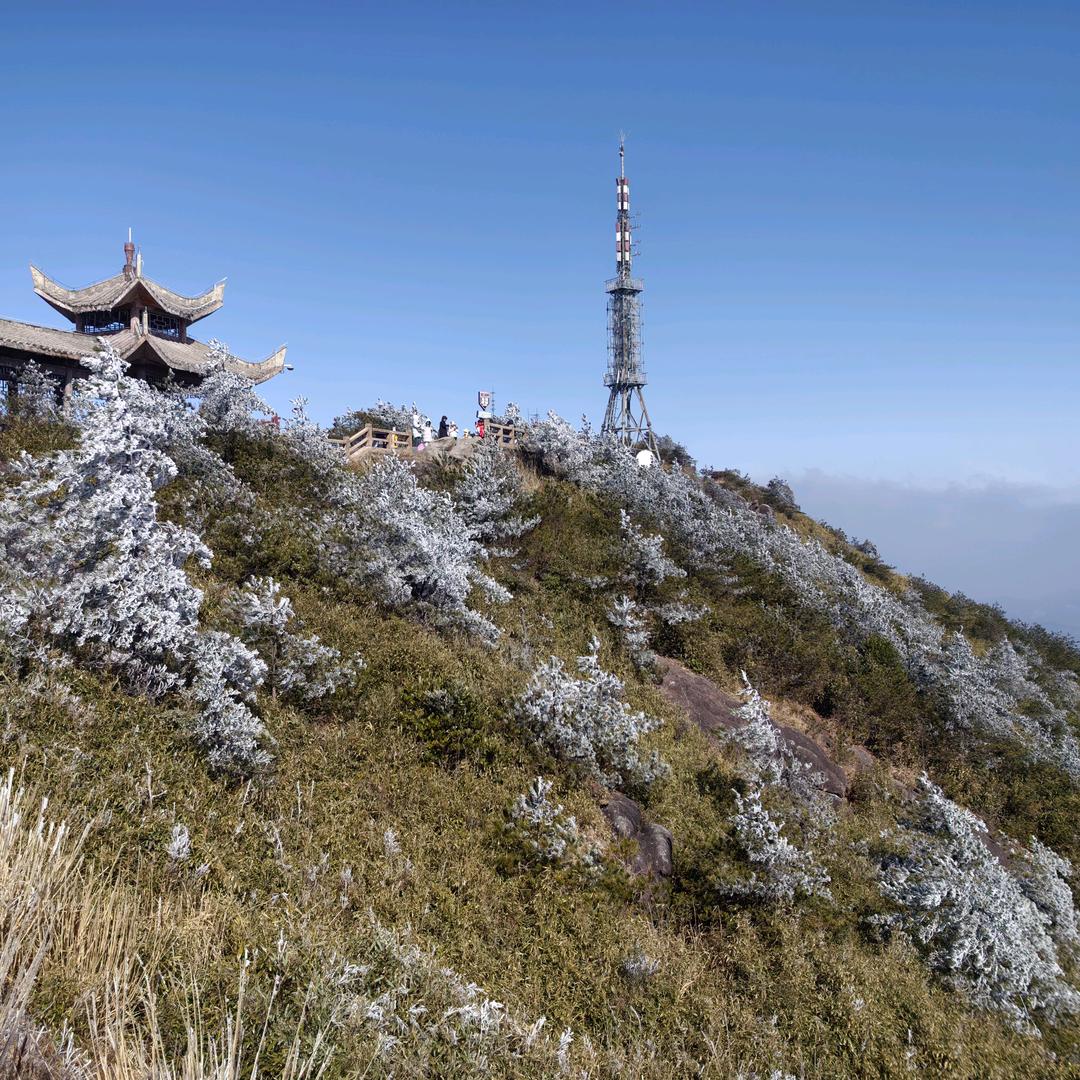 卫生巾雪莲贴安心裤加工