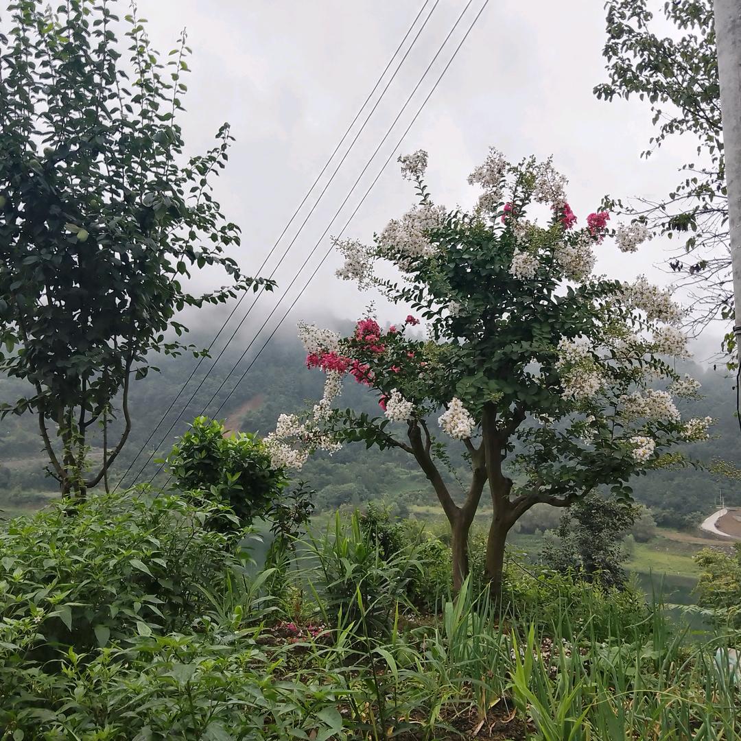 陕西人在吉尔吉斯斯坦打工