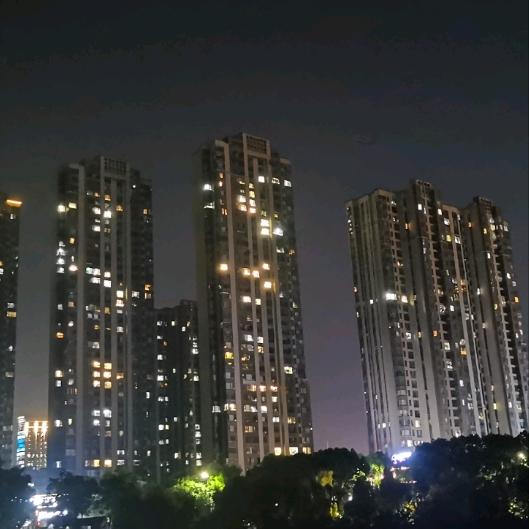 体悟55
