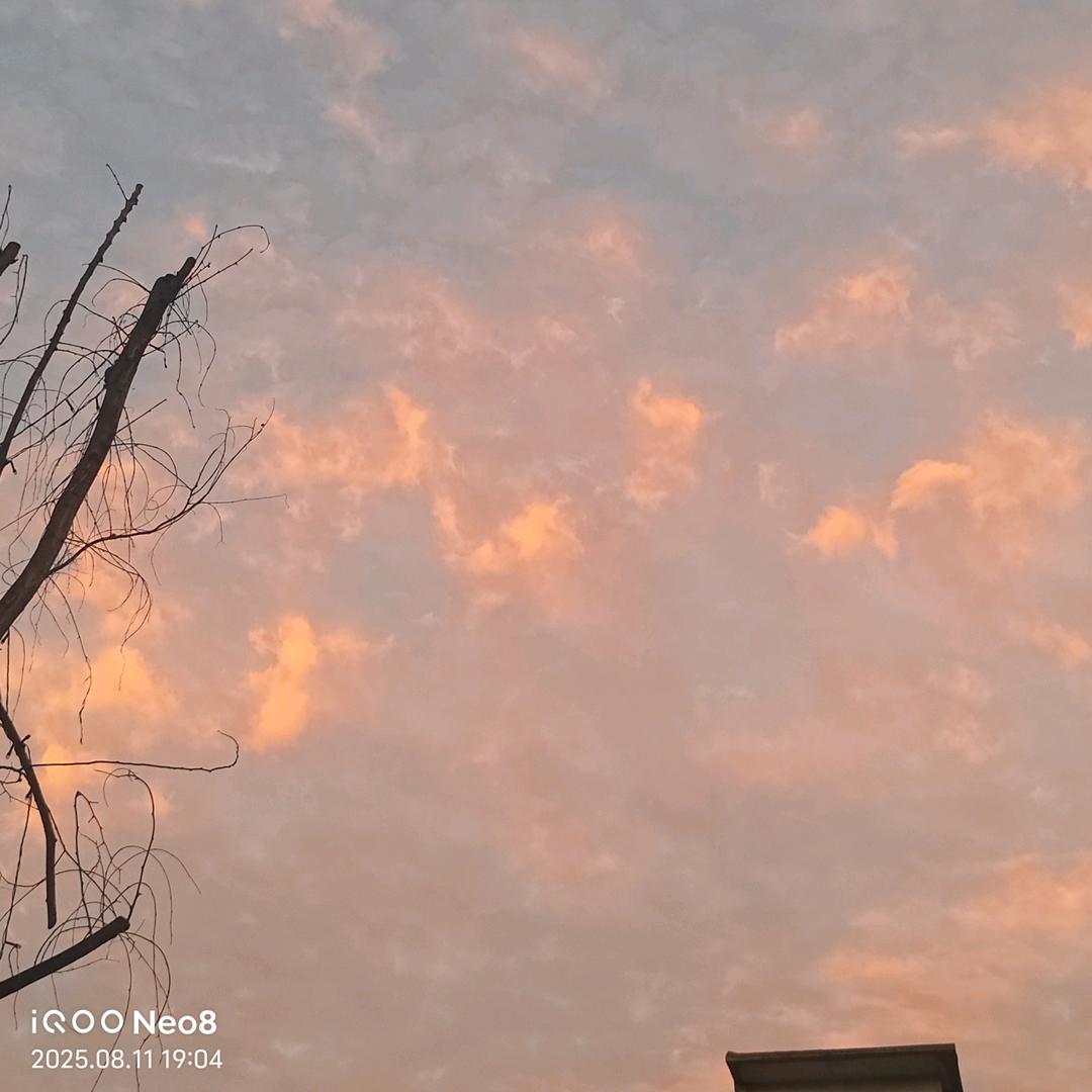 星际.沐阳