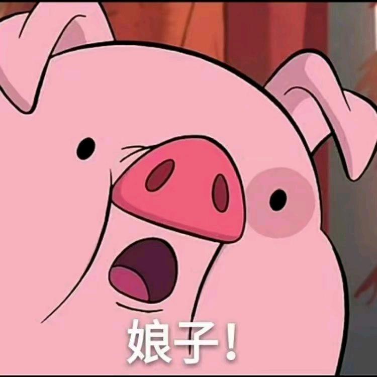 苦瓜很甜'