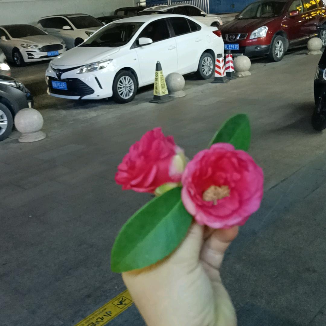 阿文