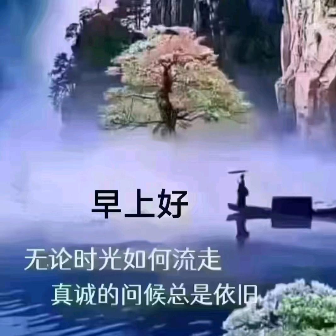 小杨师