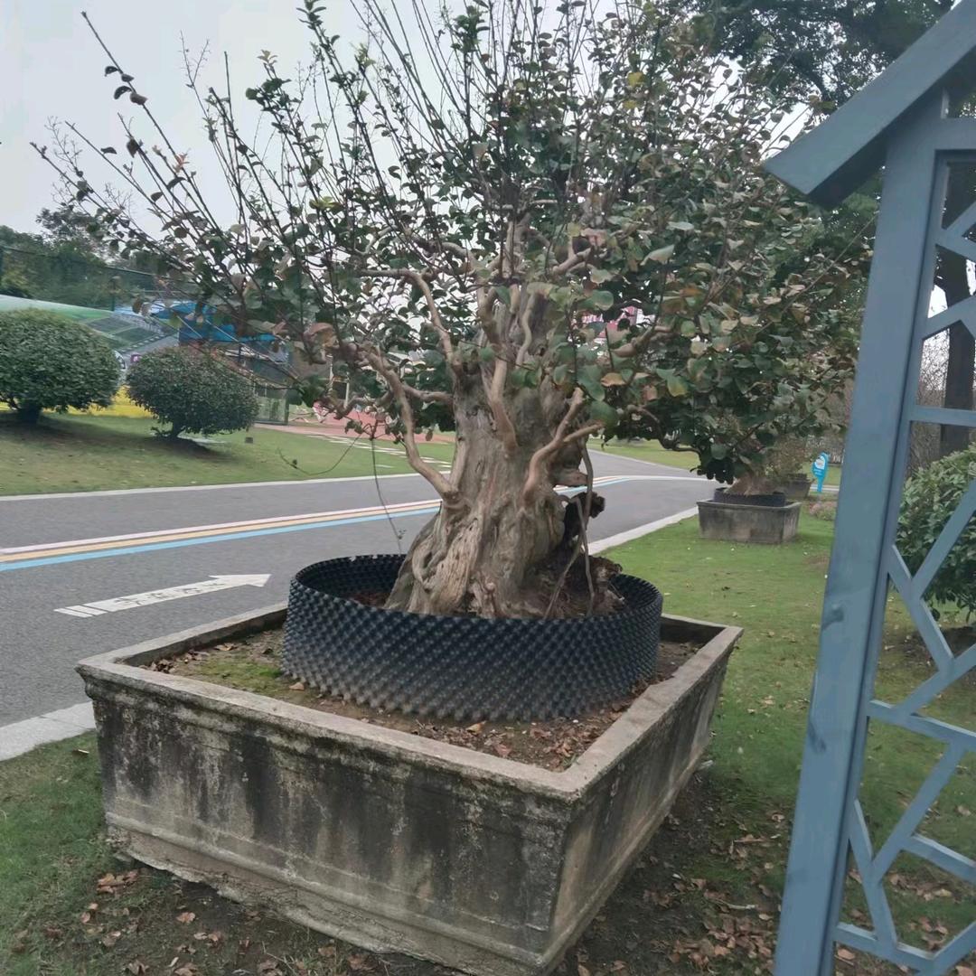 射阳县老吴架子工