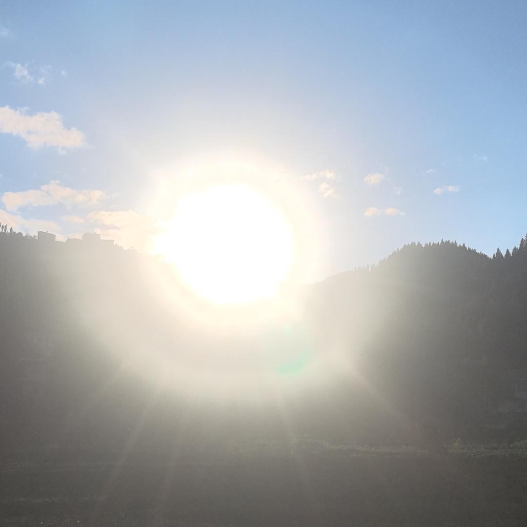 献给追逐梦想的你