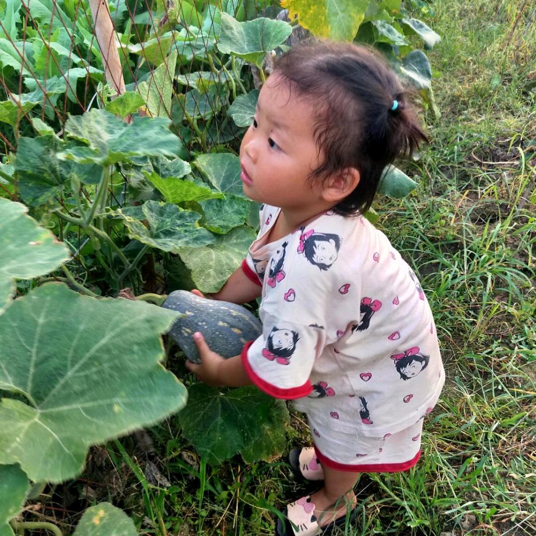 ღ᭄❤️幸运馨❤️🦋꧔ꦿ᭄?