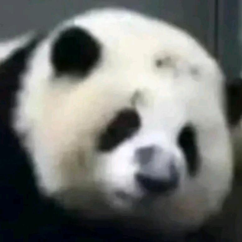 张老头子没低保