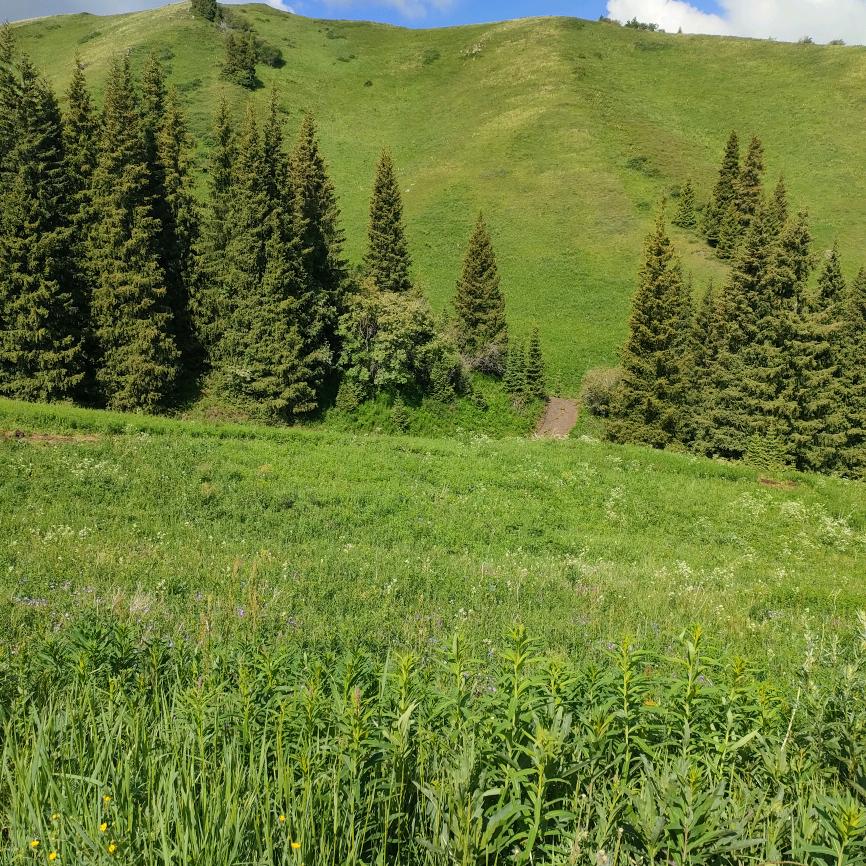 待我强大，我给自己天下