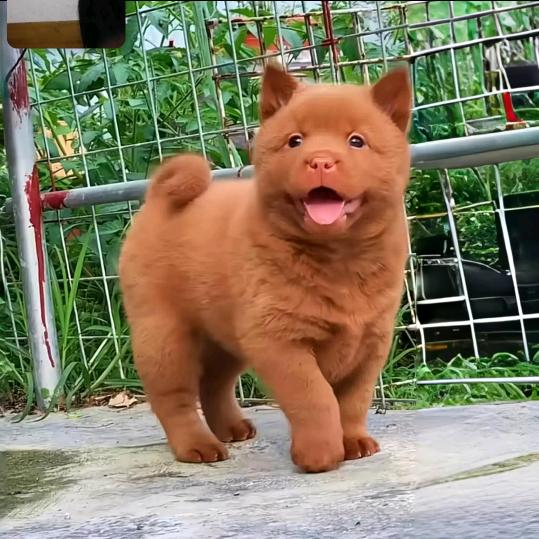 🚬ಇ王先生᭄࿐