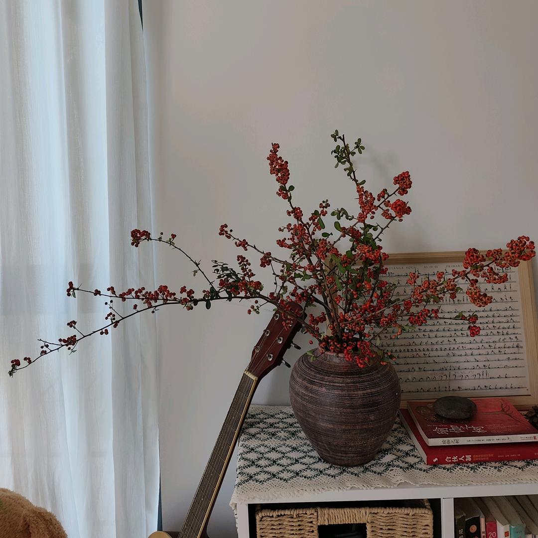 胖胖爱吃肉的🏠