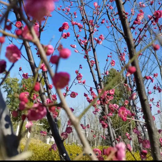 只想过好每一天