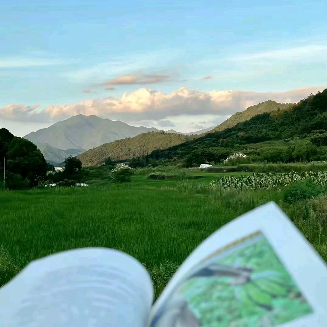 九江振邦～小邹