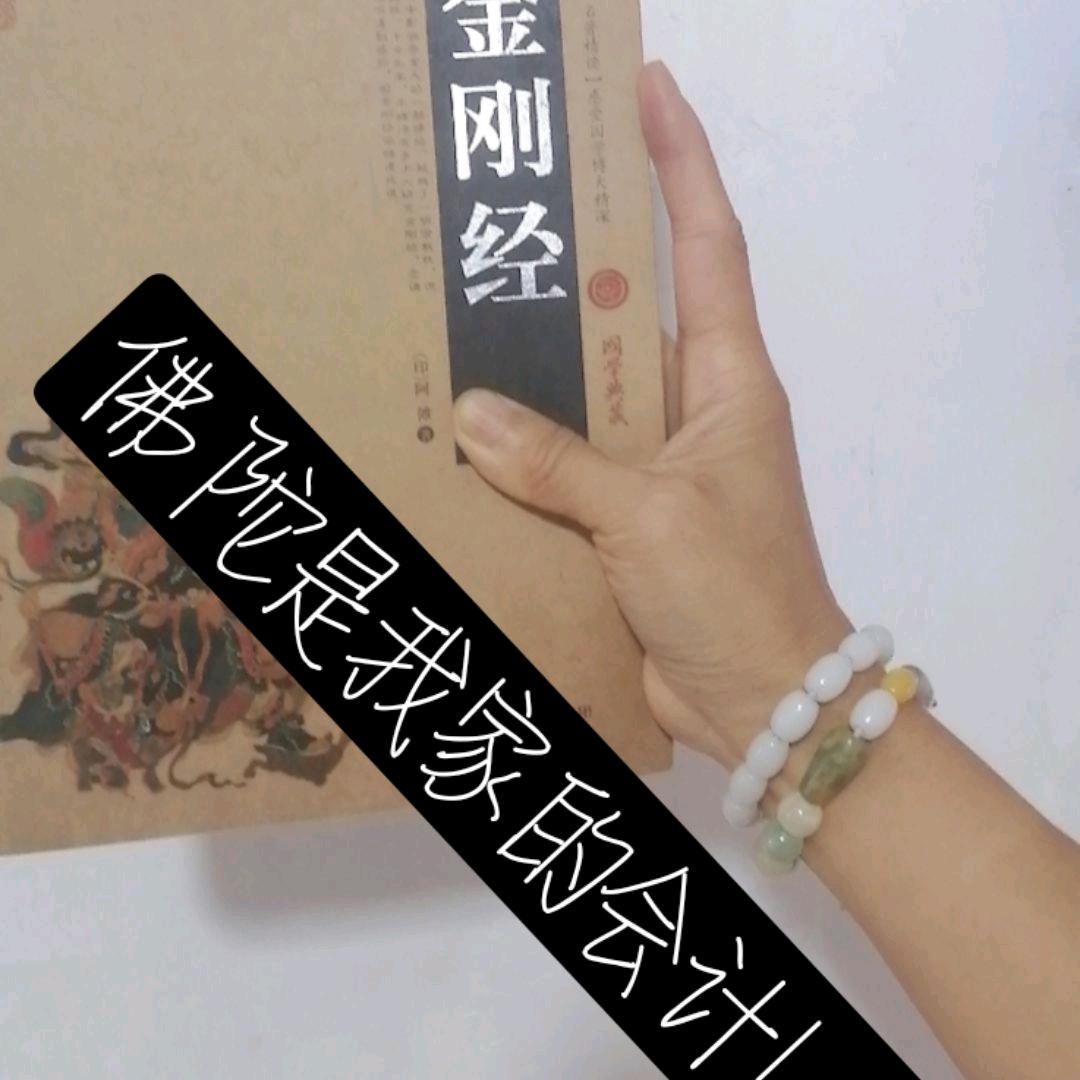 与巨人握手（丁妮）