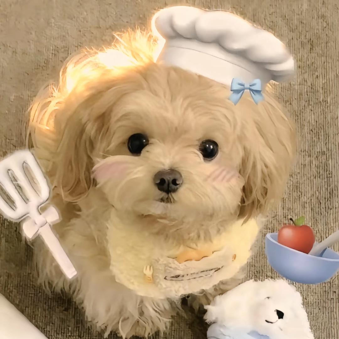 饭搭子.