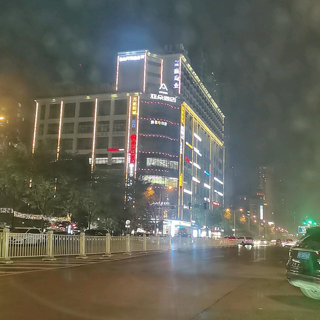 逼不得已又十年