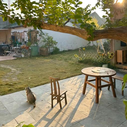 彭彭减肥（158140斤）