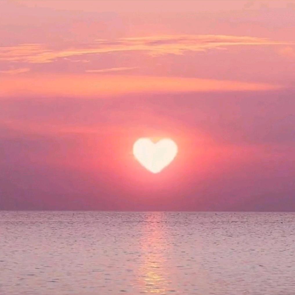 Sweet Island明星同款