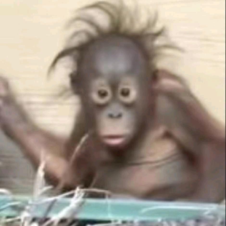 错过了某些错过