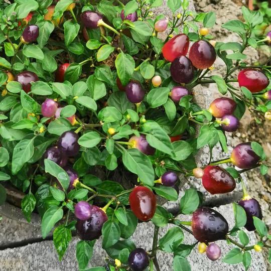 天冷了，记得多加衣