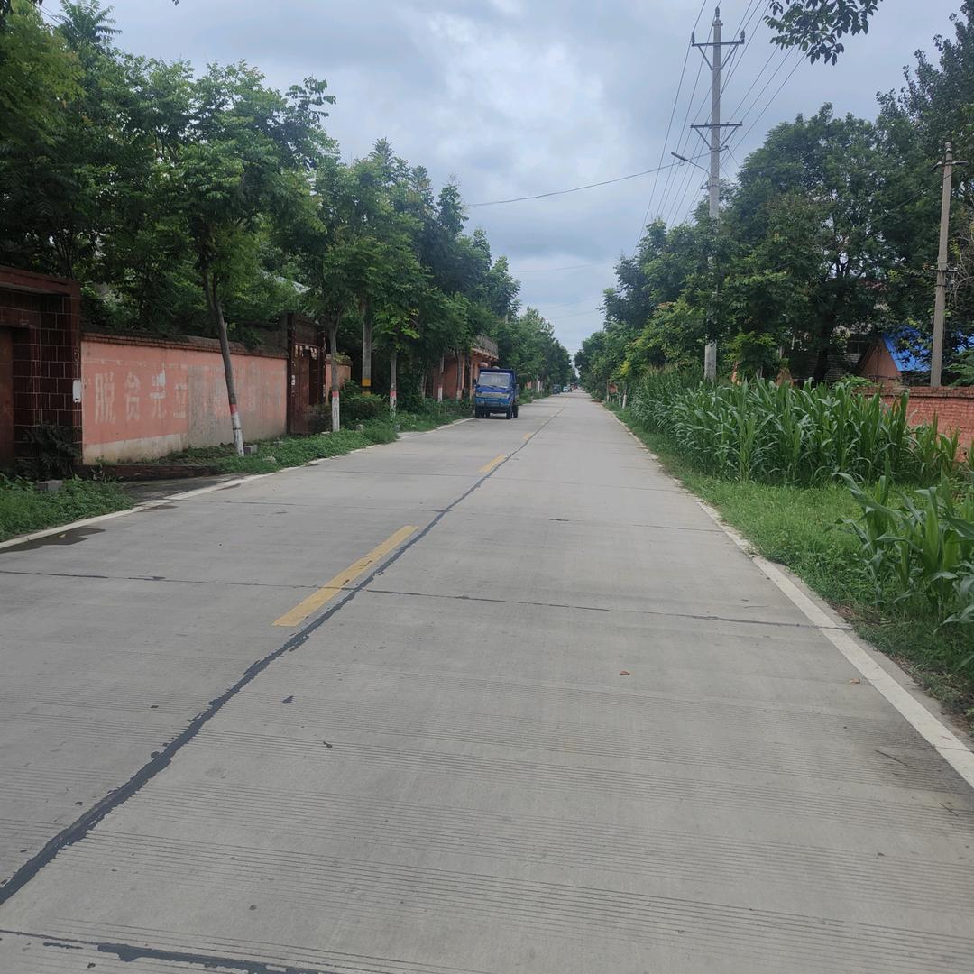 某人ℒǫ⁸⁷⁶