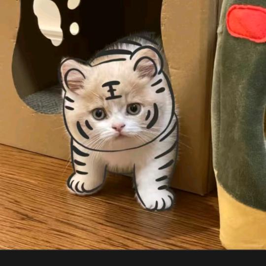 ‘辛福快乐