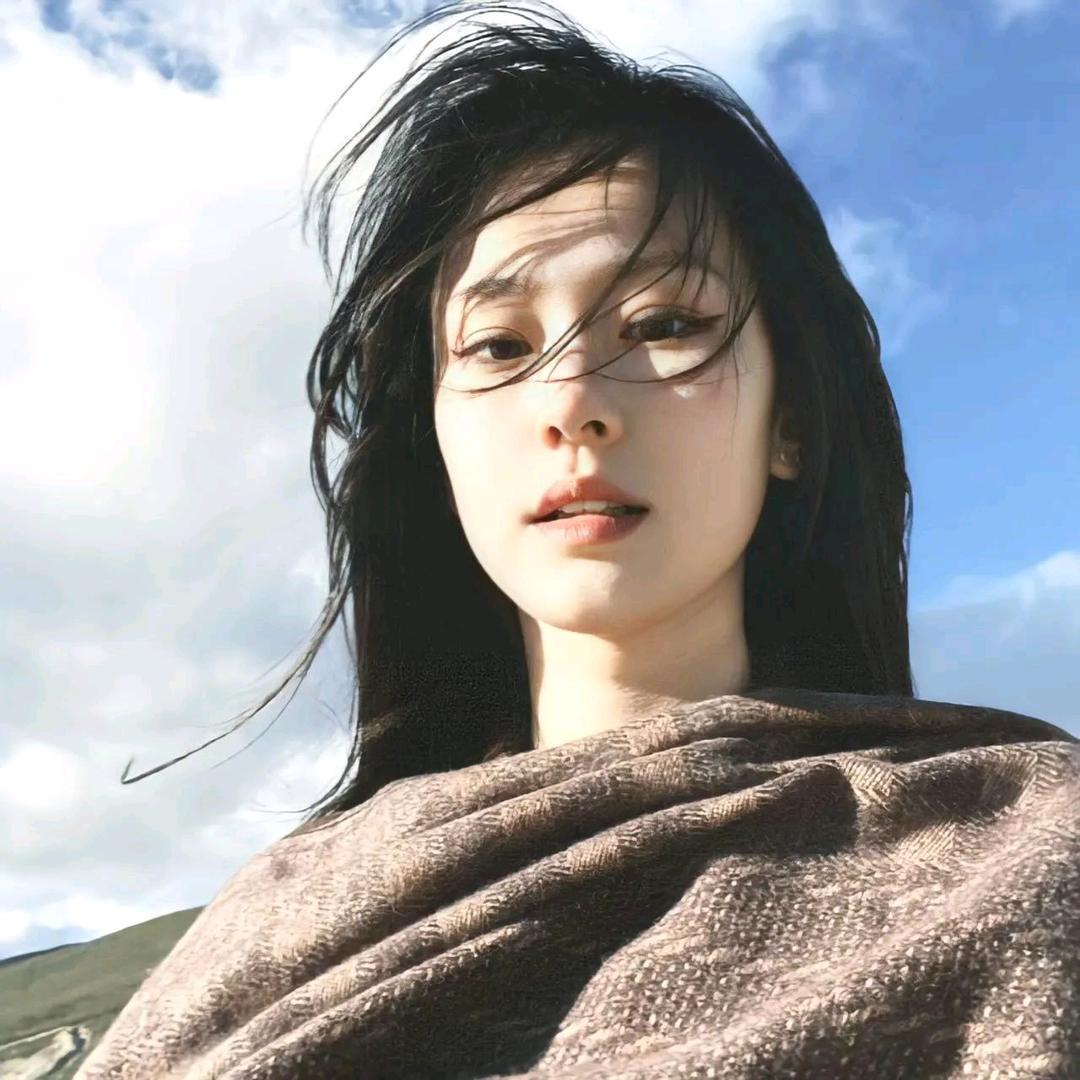 不吃酸菜鱼