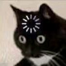 վ'ᴗ' ի
