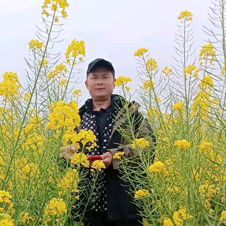 问心无愧