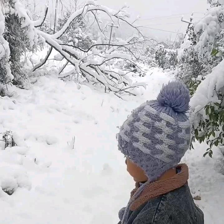 植萃染发工厂168