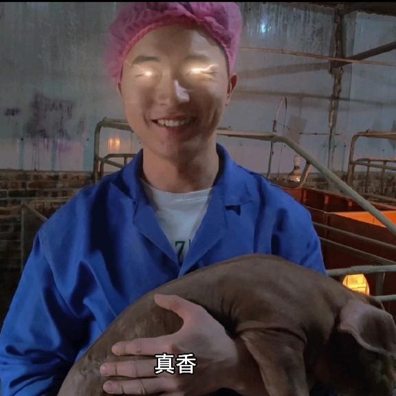 小谢养猪技能