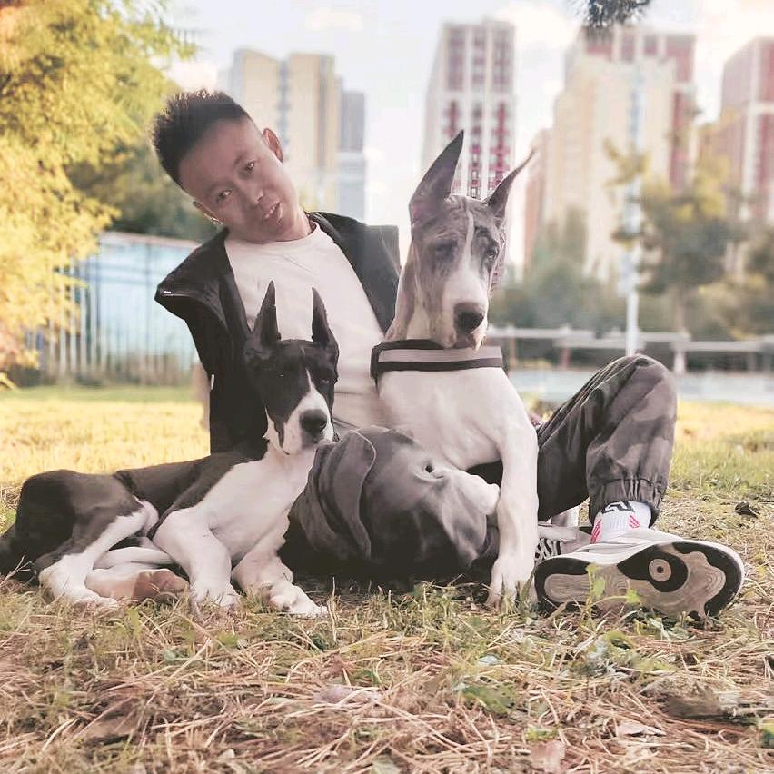 大潘的大丹犬（皮卡）能验汽车