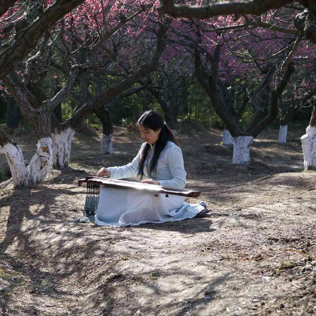 墨秋帮看号,选号