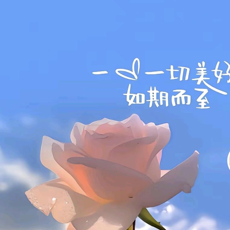 拖拉哥