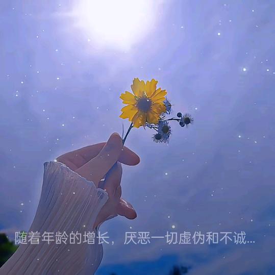喜姐