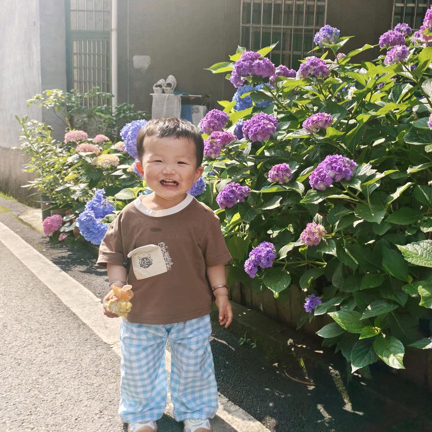 藕花🌸深处