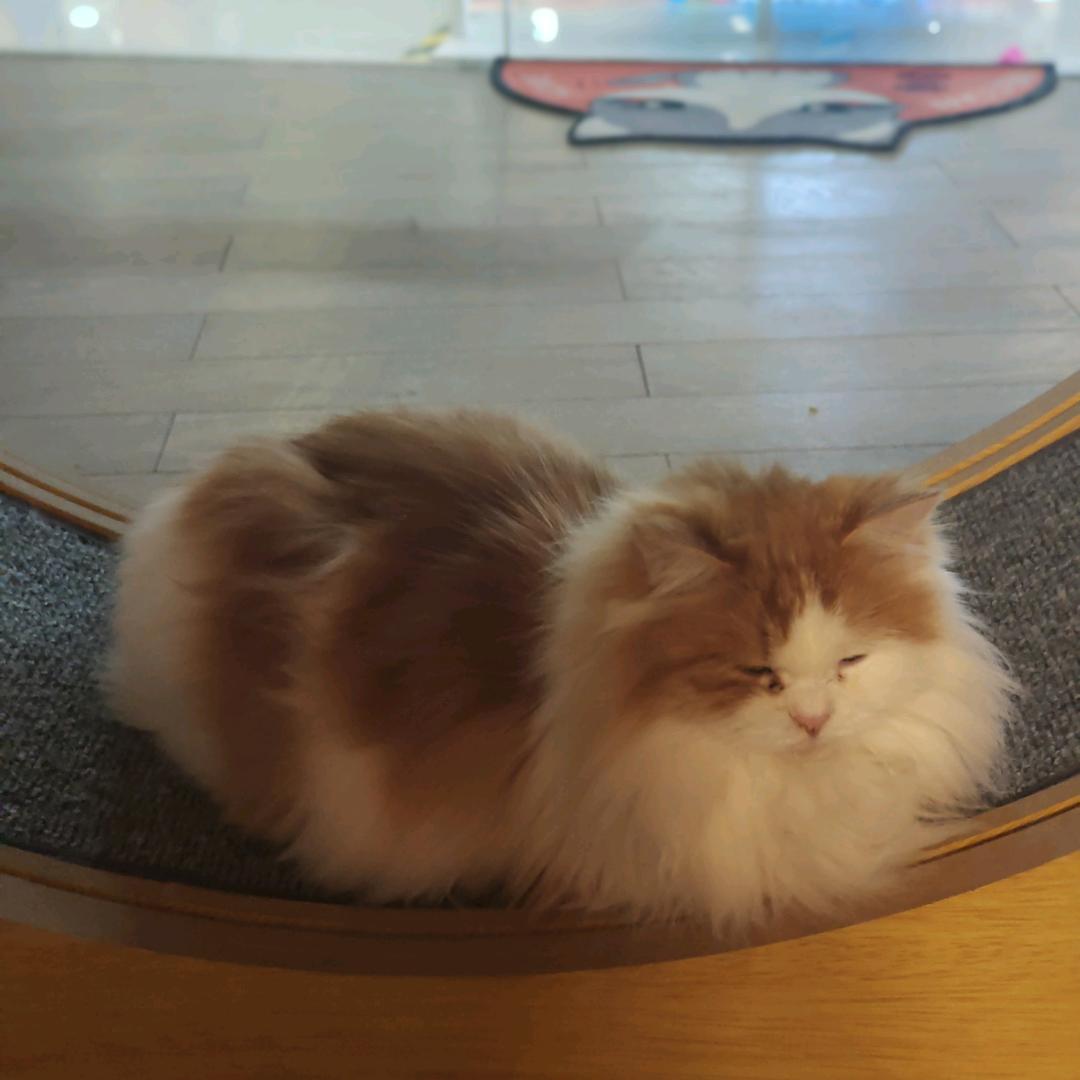 找找找不到手机跟吉他了