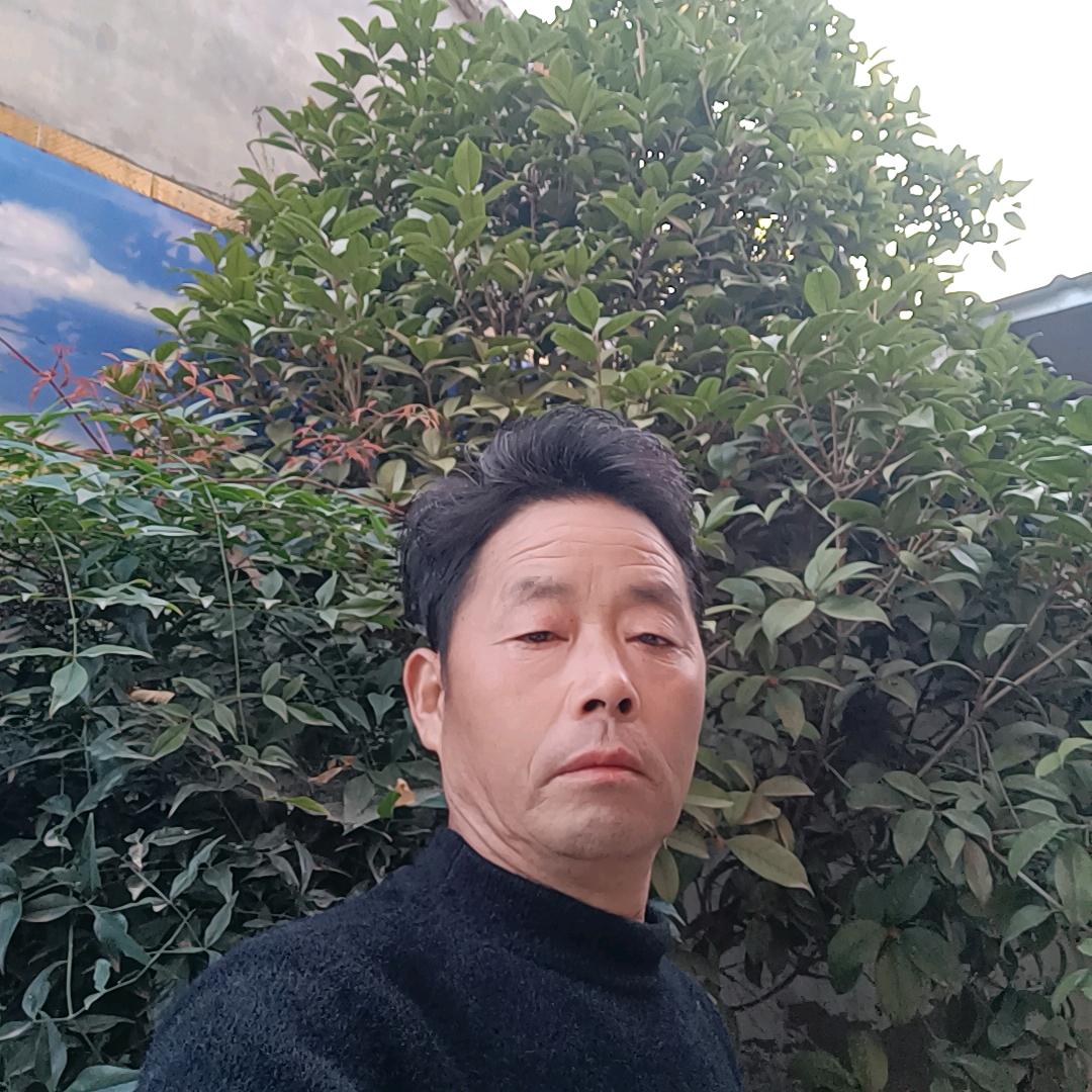 农村王哥