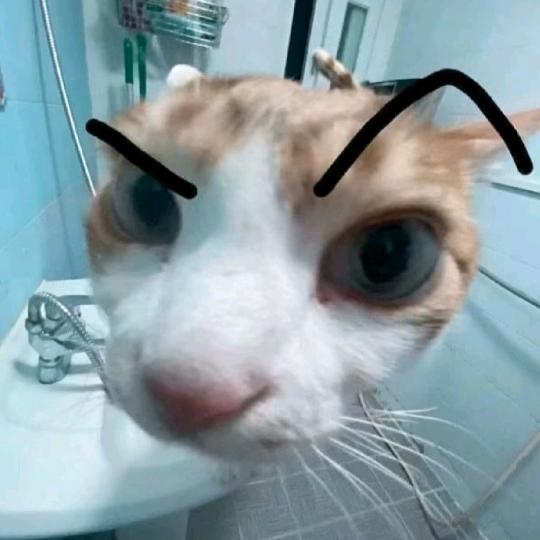 我终于换头像了