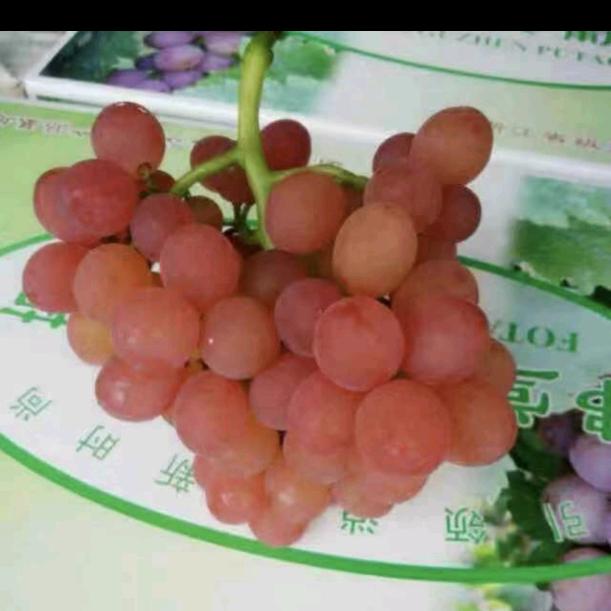 点滴技术课堂