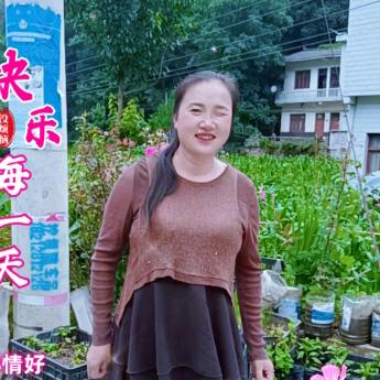刘姐