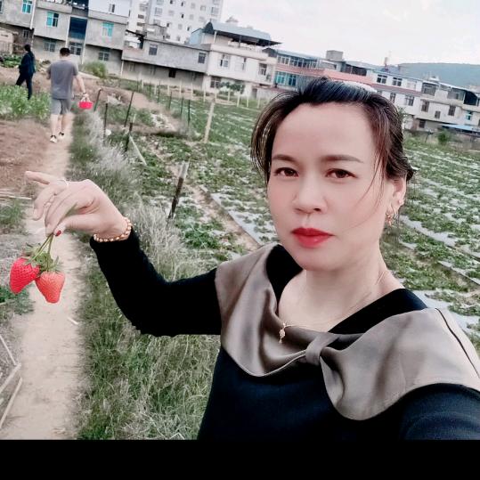 偶然的相遇