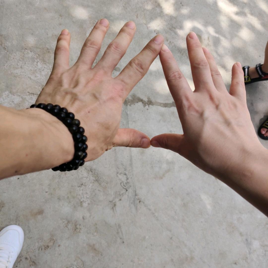 九天揽明月