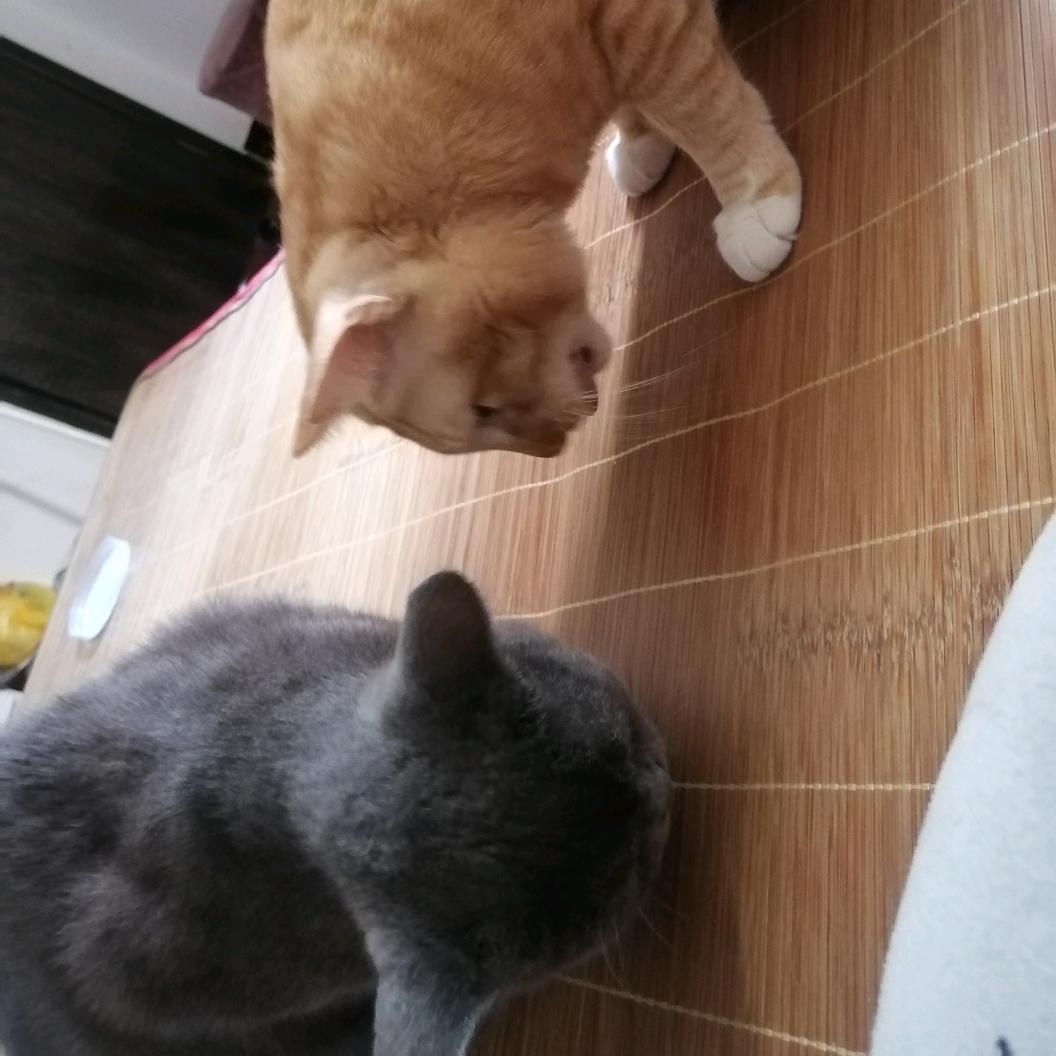 可爱的她