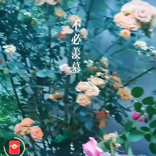 俺是农村人