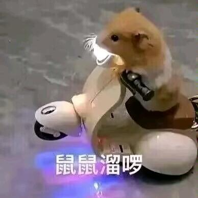 梦秋
