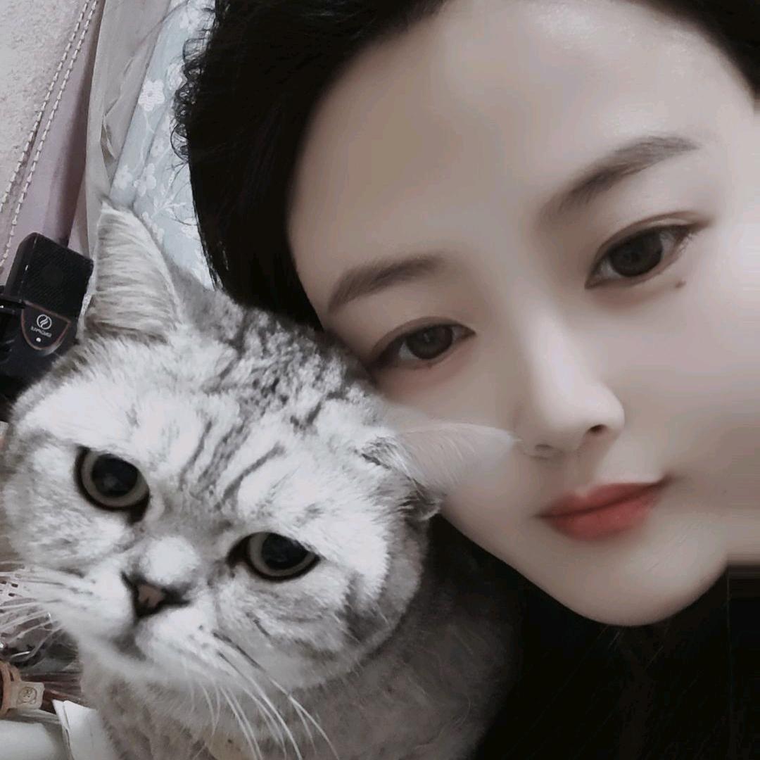 猫猫爱你呦